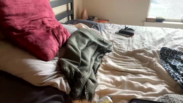 anxietyonline Chaturbate 29-03-2024 Trans