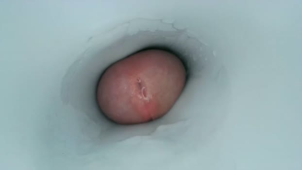 jeffrodgerschaturbat Chaturbate 29-03-2024 Males