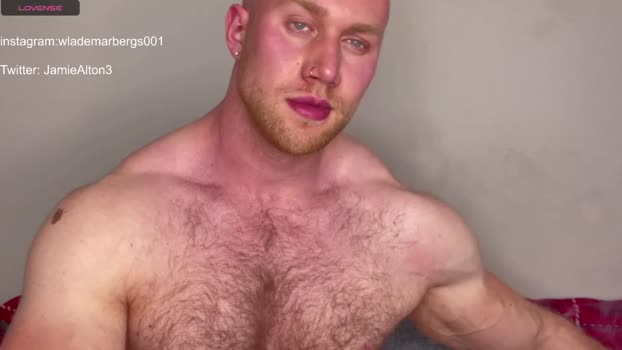 wlademarbergs Chaturbate 29-03-2024 Males