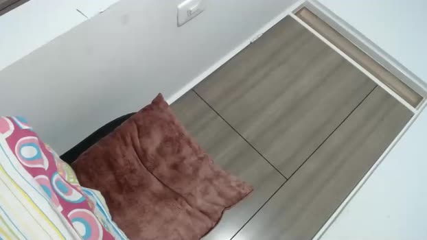 meli__cam1 Chaturbate 04-04-2024 Trans