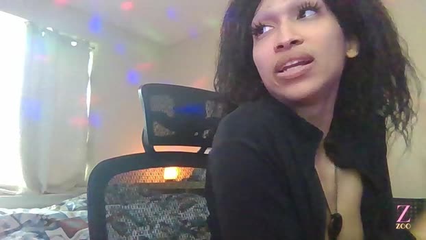 zya_zoo Chaturbate 04-04-2024 Trans