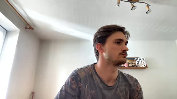 michalstancl Chaturbate 06-04-2024 Males