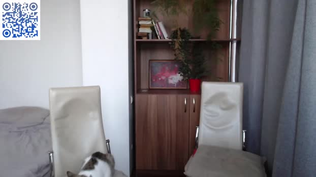 donowan_snow Chaturbate 06-04-2024 Males