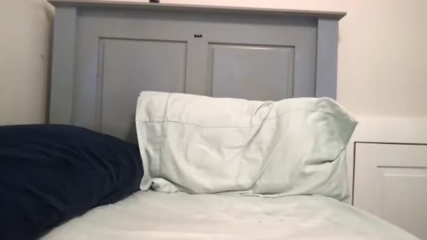 seveninchsteve_ Chaturbate 10-04-2024 Males