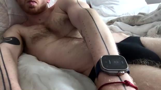 hairycock6969 Chaturbate 11-04-2024 Males