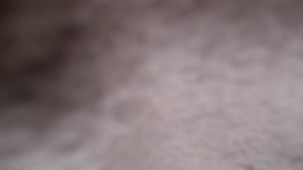 chrisbonewhite Chaturbate 20-04-2024 Males