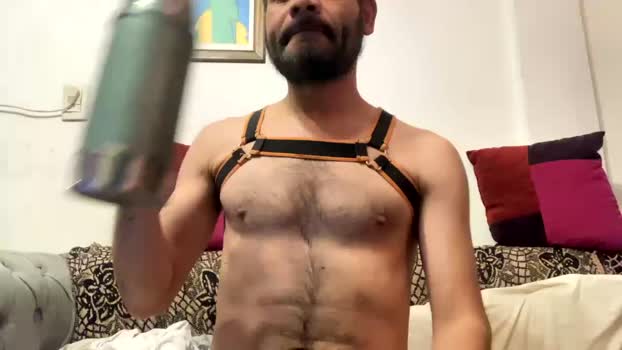 hairies1981 Chaturbate 21-04-2024 Males