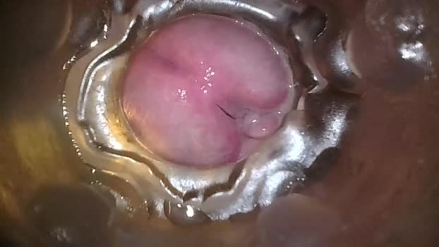 xoxowtf Chaturbate 24-04-2024 Males