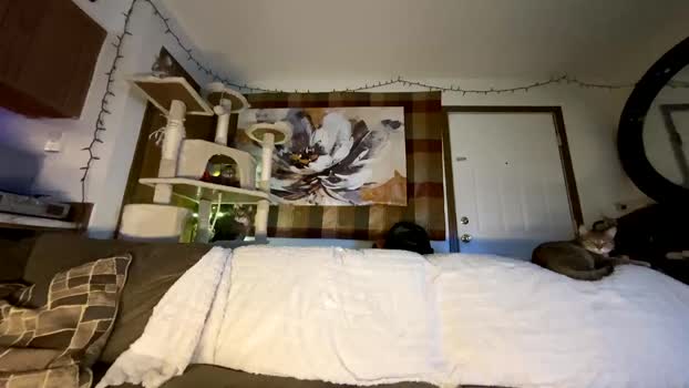 dylandaniel69 Chaturbate 02-05-2024 Males