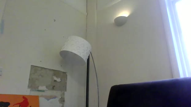 basiccamguy Chaturbate 03-05-2024 Males