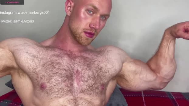 wlademarbergs Chaturbate 09-05-2024 Males