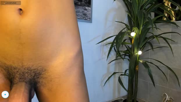 nailuj66 Chaturbate 10-05-2024 Trans
