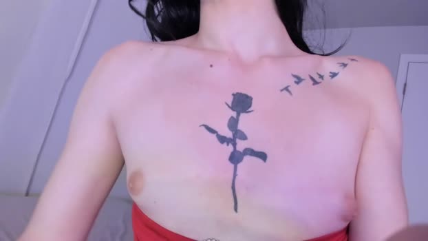 leefoxx Chaturbate 13-05-2024 Trans