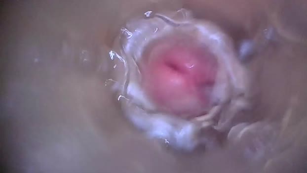 xoxowtf Chaturbate 13-05-2024 Males