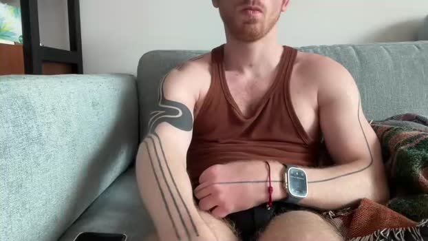 hairycock6969 Chaturbate 15-05-2024 Males