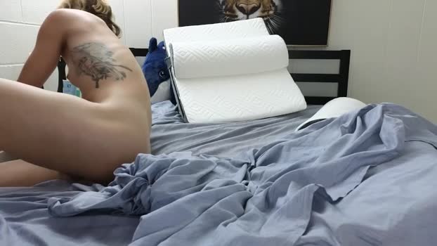 aryafrei Chaturbate 19-05-2024 Trans