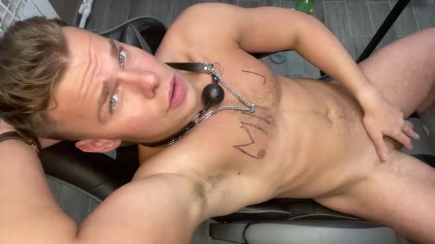 shavarace1 Chaturbate 19-05-2024 Males