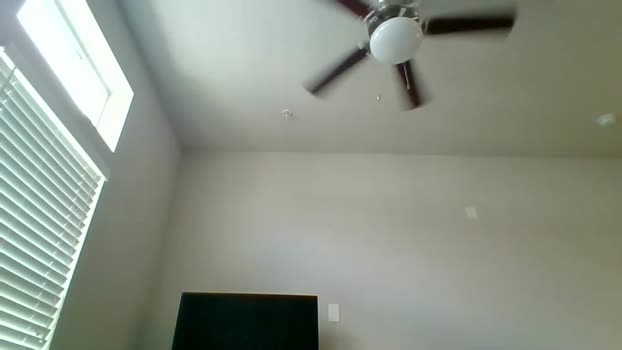 caseykink1 Chaturbate 19-05-2024 Males