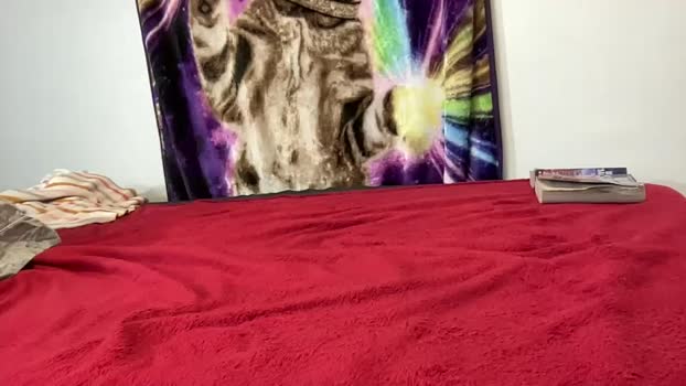 lacy8vankort Chaturbate 24-05-2024 Trans