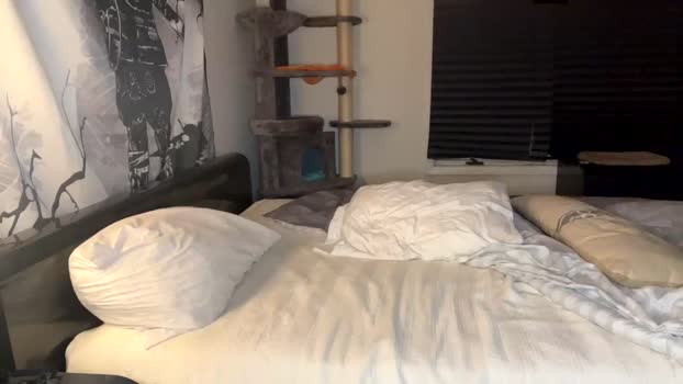 iblamedevan Chaturbate 25-05-2024 Males