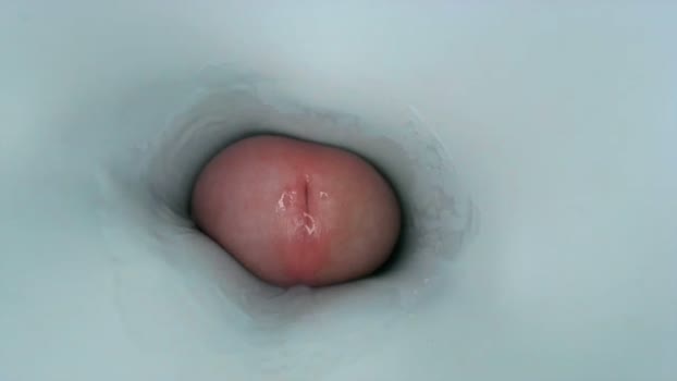 jeffrodgerschaturbat Chaturbate 27-05-2024 Males