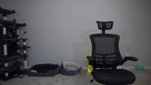 sydaffect Chaturbate 31-05-2024 Males