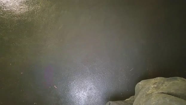 missxolga Chaturbate 01-06-2024 Trans