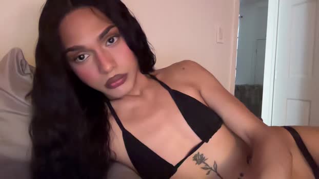 stargirlrising Chaturbate 03-06-2024 Trans