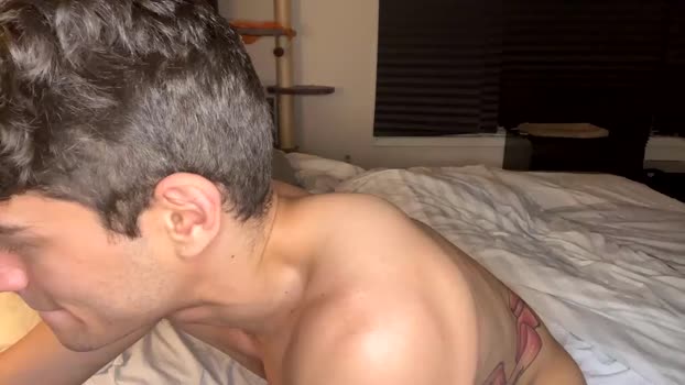 iblamedevan Chaturbate 05-06-2024 Males