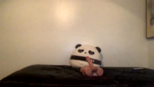 taylormade249 Chaturbate 08-06-2024 Males