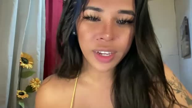 bigcockamanda23 Chaturbate 12-06-2024 Trans