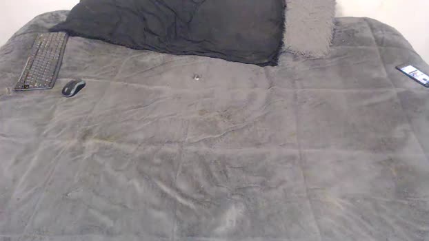 elgsslt Chaturbate 15-06-2024 Trans