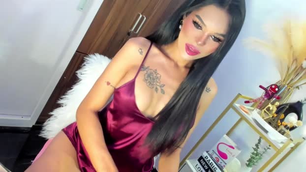 midnightsnack_69 Chaturbate 17-06-2024 Trans