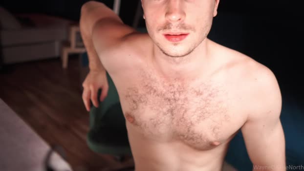 waynenorth Chaturbate 12-07-2024 Males