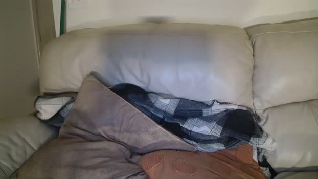 bigdicktrannynicole Chaturbate 24-07-2024 Trans