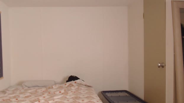 olirhoades Chaturbate 24-07-2024 Males