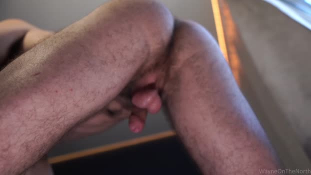 waynenorth Chaturbate 25-07-2024 Males