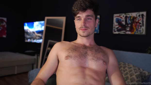 waynenorth Chaturbate 25-07-2024 Males