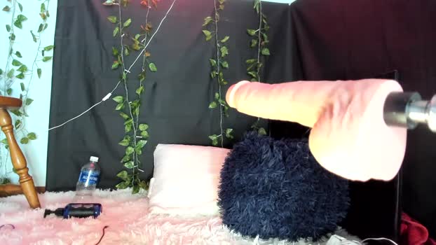 maddi_avalon Chaturbate 04-08-2024 Trans