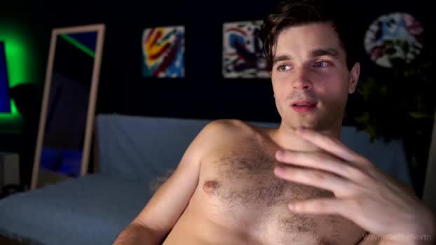 waynenorth Chaturbate 10-08-2024 Males