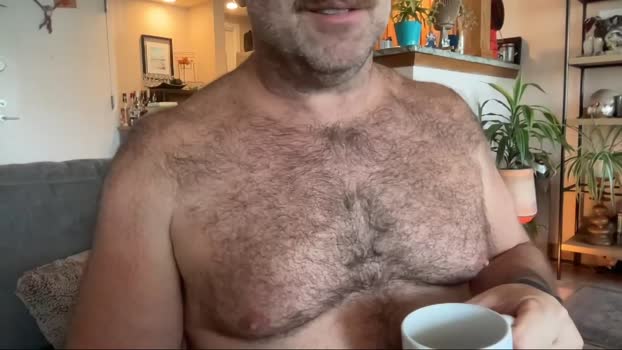 bearjocknwdc Chaturbate 14-08-2024 Males