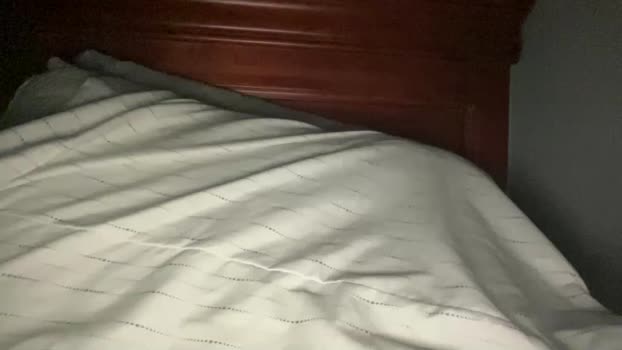 curiousa910 Chaturbate 16-08-2024 Males