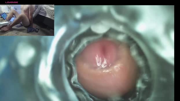 xoxowtf Chaturbate 25-08-2024 Males