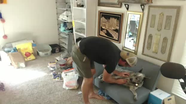 bryancavallo Chaturbate 14-09-2024 Males