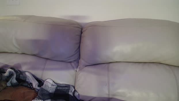 bigdicktrannynicole Chaturbate 25-09-2024 Trans