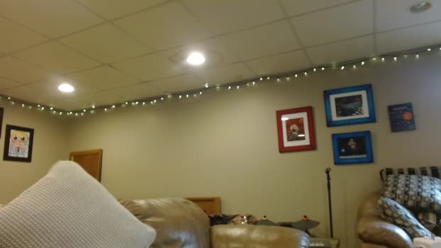 jessyboi0504 Chaturbate 25-09-2024 Trans