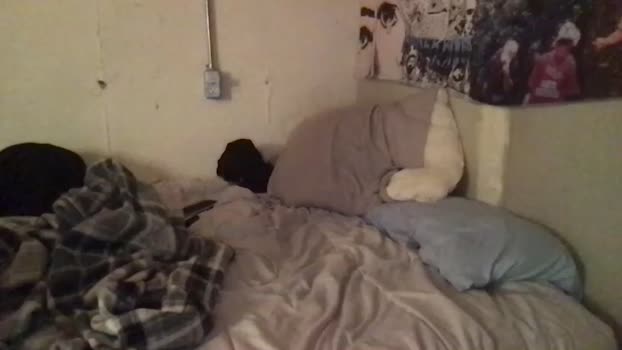 thetylerdurden0 Chaturbate 02-10-2024 Males