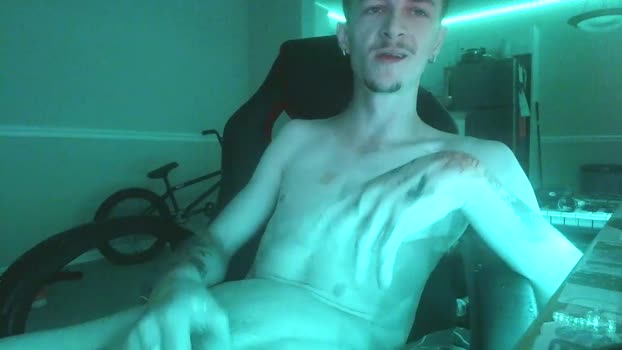 pebblesindogs Chaturbate 03-10-2024 Males