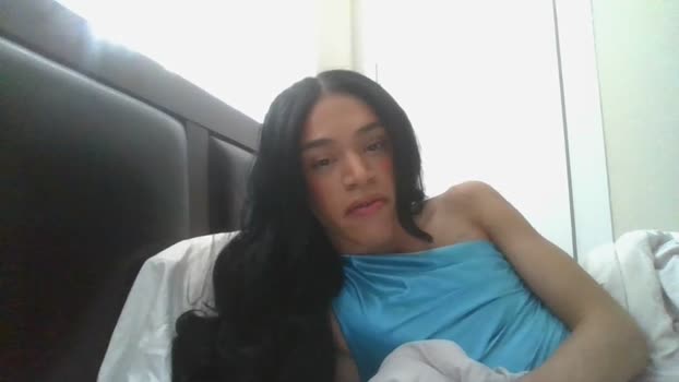 dynasty313 Chaturbate 05-10-2024 Trans
