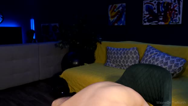 waynenorth Chaturbate 05-10-2024 Males